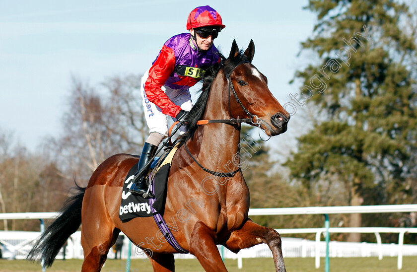 Convey-0001 
 CONVEY (Joe Fanning) Lingfield 24 Feb 2018 - Pic Steven Cargill / Racingfotos.com