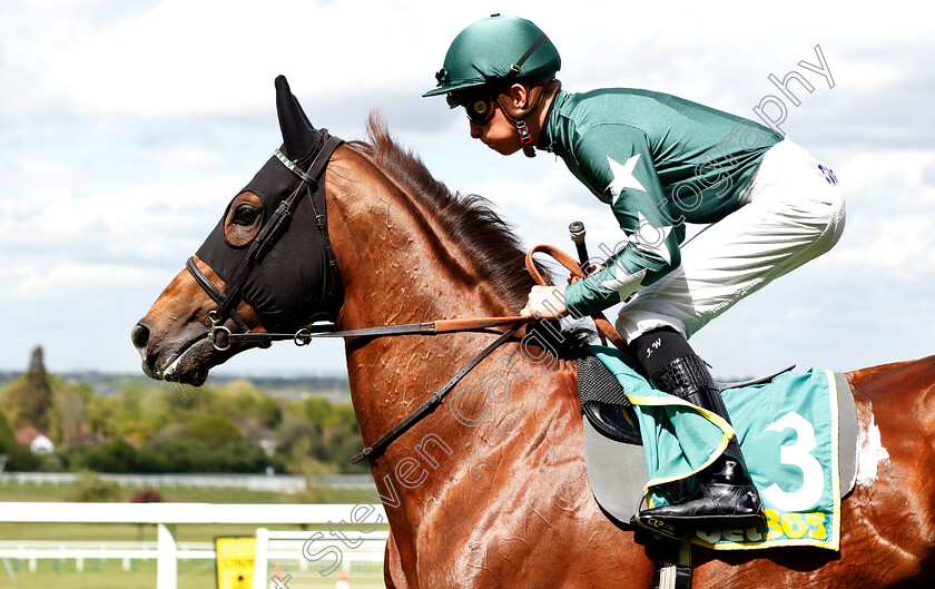 Extra-Elusive-0001 
 EXTRA ELUSIVE (Jason Watson)
Sandown 26 Apr 2019 - Pic Steven Cargill / Racingfotos.com