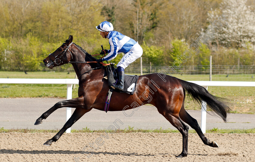 Bye-Bye-Hong-Kong-0002 
 BYE BYE HONG KONG (Silvestre De Sousa) before winning The Woodford Reserve Cardinal Conditions Stakes
Chelmsford 11 Apr 2019 - Pic Steven Cargill / Racingfotos.com