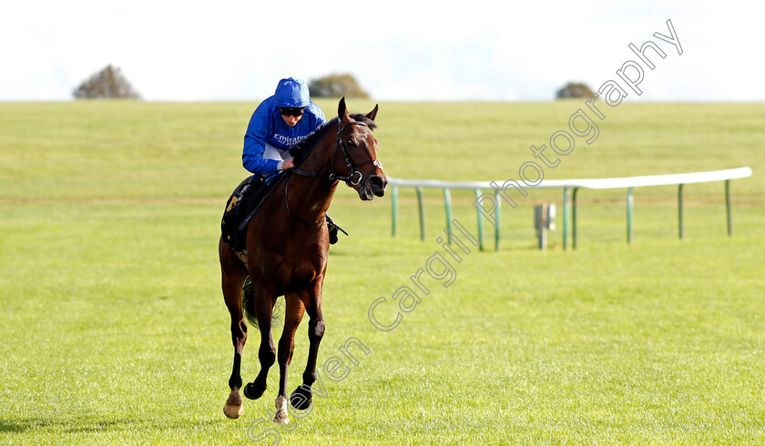 Ancient-Wisdom-0006 
 ANCIENT WISDOM (William Buick) winner of The Emirates Autumn Stakes
Newmarket 14 Oct 2023 - Pic Steven Cargill / Racingfotos.com