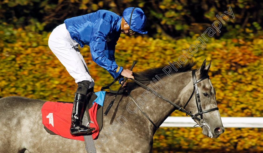 Musical-Act-0004 
 MUSICAL ACT (James Doyle) winner of The Unibet Zero% Mission British Stallion Studs EBF Fillies Novice Stakes Div1
Kempton 15 Nov 2023 - Pic Steven Cargill / Racingfotos.com