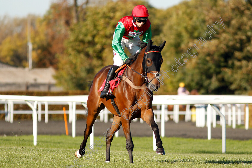 Grand-Sancy-0001 
 GRAND SANCY (Harry Cobden)
Kempton 21 Oct 2018 - Pic Steven Cargill / Racingfotos.com