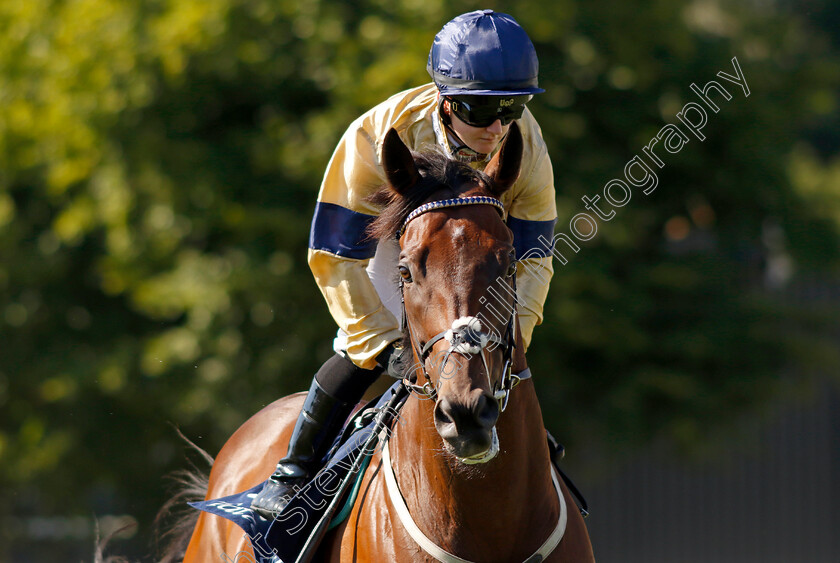 Tempus-0003 
 TEMPUS (Hollie Doyle) winner of The Tattersalls Sovereign Stakes
Salisbury 11 Aug 2022 - Pic Steven Cargill / Racingfotos.com