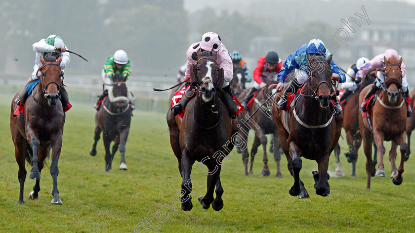 Chiefofchiefs-0001 
 CHIEFOFCHIEFS (centre, Richard Kingscote) beats KYNREN (right) in The Matchbook Betting Podcast Whitsun Cup Handicap Sandown 24 May 2018 - Pic Steven Cargill / Racingfotos.com