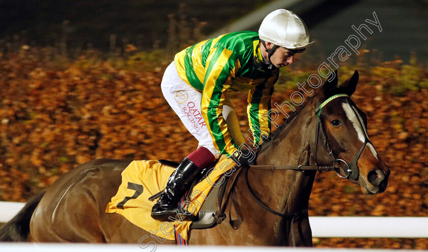 Flying-Finn-0001 
 FLYING FINN (Oisin Murphy)
Kempton 13 Dec 2023 - Pic Steven Cargill / Racingfotos.com