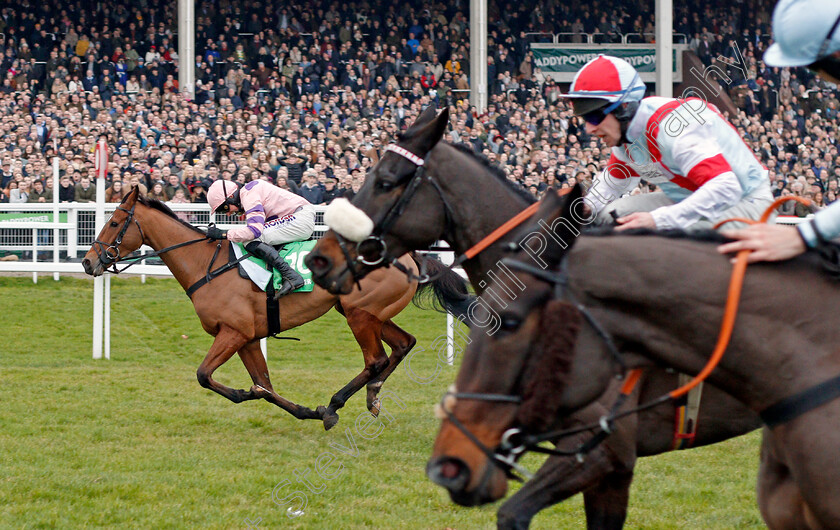 Oldgrangewood-0004 
 OLDGRANGEWOOD (Harry Skelton) wins The Paddy Power Handicap Chase
Cheltenham 1 Jan 2020 - Pic Steven Cargill / Racingfotos.com