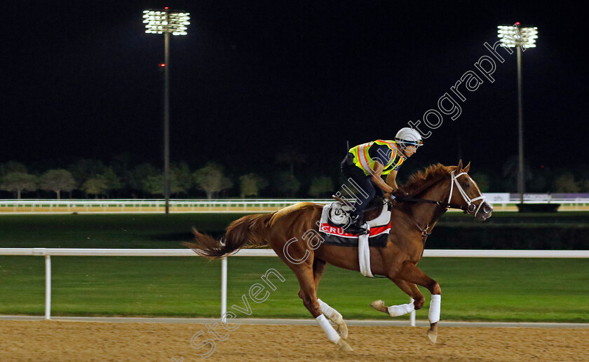 Crupi-0001 
 CRUPI training for The Dubai World Cup
Meydan Dubai 27 Mar 2024 - Pic Steven Cargill / Racingfotos.com