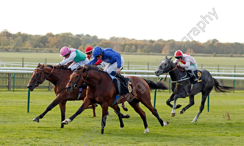 Regal-Honour-0006 
 REGAL HONOUR (nearside, William Buick) beats GREEK ORDER (left) in The Stephen Rowley Remembered Novice Stakes
Newmarket 19 Oct 2022 - Pic Steven Cargill / Racingfotos.com