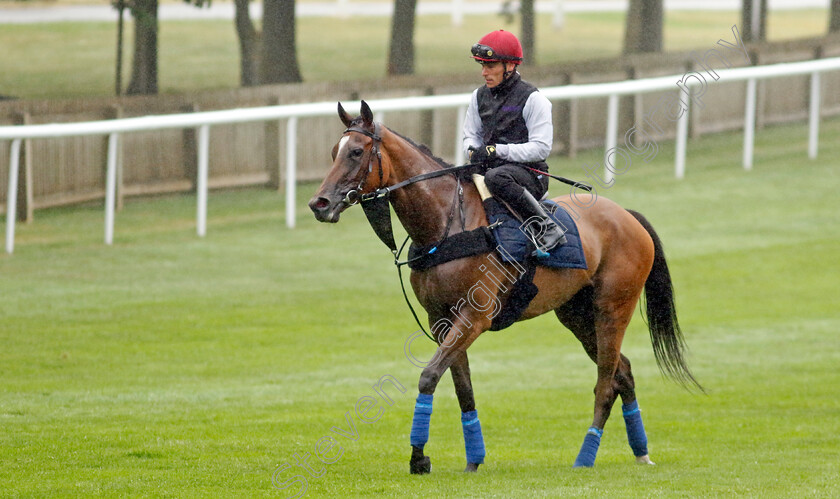 Soul-Sister-0002 
 SOUL SISTER (Kieran Shoemark)
Newmarket 1 Jul 2023 - Pic Steven Cargill / Racingfotos.com