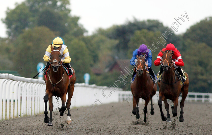 Quiet-Endeavour-0002 
 QUIET ENDEAVOUR (left, Hollie Doyle) wins The Call Star Sports On 08000 521 321 Nursery
Kempton 15 Aug 2018 - Pic Steven Cargill / Racingfotos.com