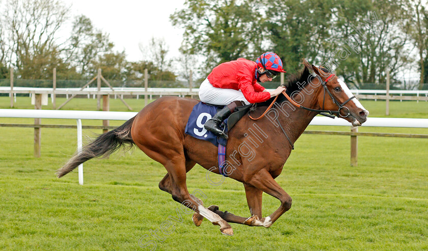 Cochise-0002 
 COCHISE (Thomas Greatrex) wins The Bath Luxury Toilet Hire Handicap
Bath 16 Oct 2019 - Pic Steven Cargill / Racingfotos.com