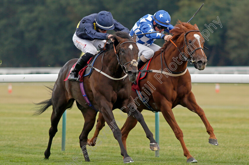 Rose-Fandango-0003 
 ROSE FANDANGO (right, Kieran O'Neill) beats TROIS VALLEES (left) in The Watch Racing TV Fillies Handicap
Haydock 2 Sep 2022 - Pic Steven Cargill / Racingfotos.com