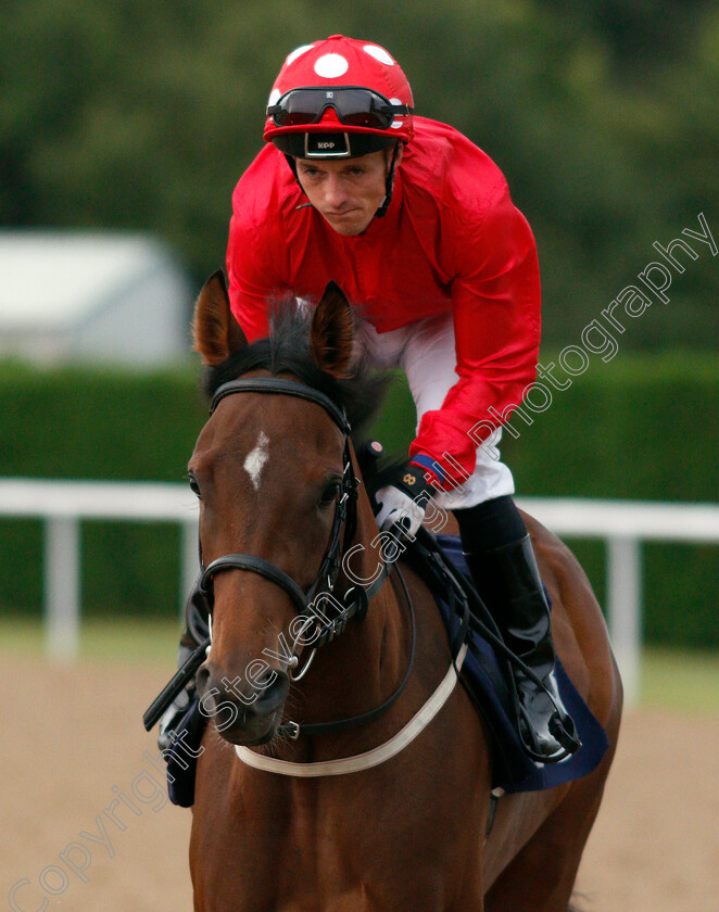 Springwood-Drive-0001 
 SPRINGWOOD DRIVE (David Allan)
Wolverhampton 17 Jul 2019 - Pic Steven Cargill / Racingfotos.com