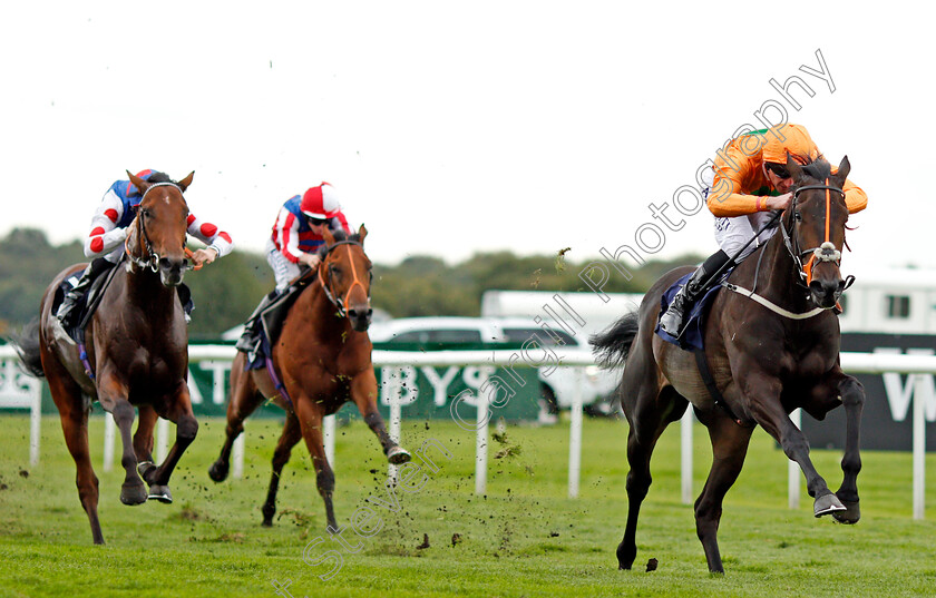 Blue-Laureate-0002 
 BLUE LAUREATE (Adam Kirby) wins The Gary Reid Memorial British Stallion Studs EBF Maiden Stakes Doncaster 15 Sep 2017 - Pic Steven Cargill / Racingfotos.com