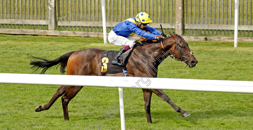 Mount-Teide-0004 
 MOUNT TEIDE (Oisin Murphy) wins The Jenningsbet Treble Odds Lucky 15 Handicap
Newmarket 10 Aug 2024 - Pic Steven Cargill / Racingfotos.com