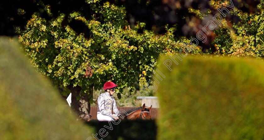 William-Buick-0002 
 WILLIAM BUICK on Medyaf in the parade ring before the first race
Nottingham 13 Oct 2021 - Pic Steven Cargill / Racingfotos.com