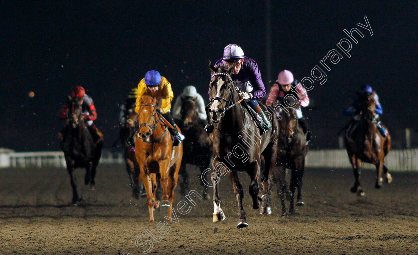 Kingmax-0007 
 KINGMAX (David Egan) wins The Unibet Novice Stakes
Kempton 2 Mar 2022 - Pic Steven Cargill / Racingfotos.com