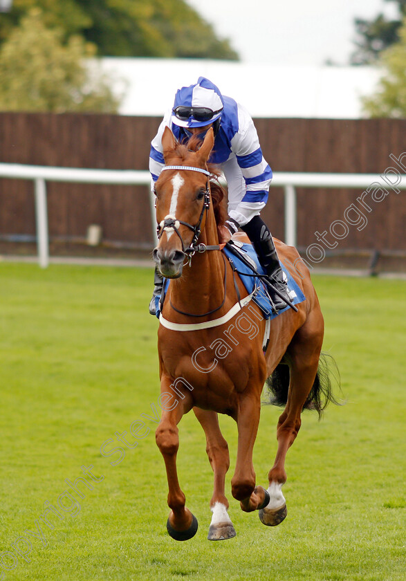 Lantiern-0001 
 LANTIERN (P J McDonald)
Leicester 15 Jul 2021 - Pic Steven Cargill / Racingfotos.com