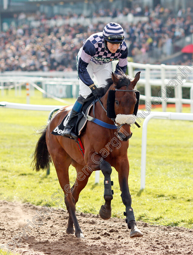 Tea-Clipper 
 TEA CLIPPER (Stan Sheppard)
Aintree 9 Apr 2022 - Pic Steven Cargill / Racingfotos.com