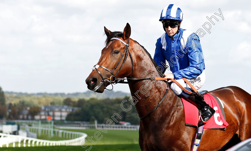 Wadilsafa-0002 
 WADILSAFA (Jim Crowley) before winning The Smarkets Fortune Stakes
Sandown 19 Sep 2018 - Pic Steven Cargill / Racingfotos.com