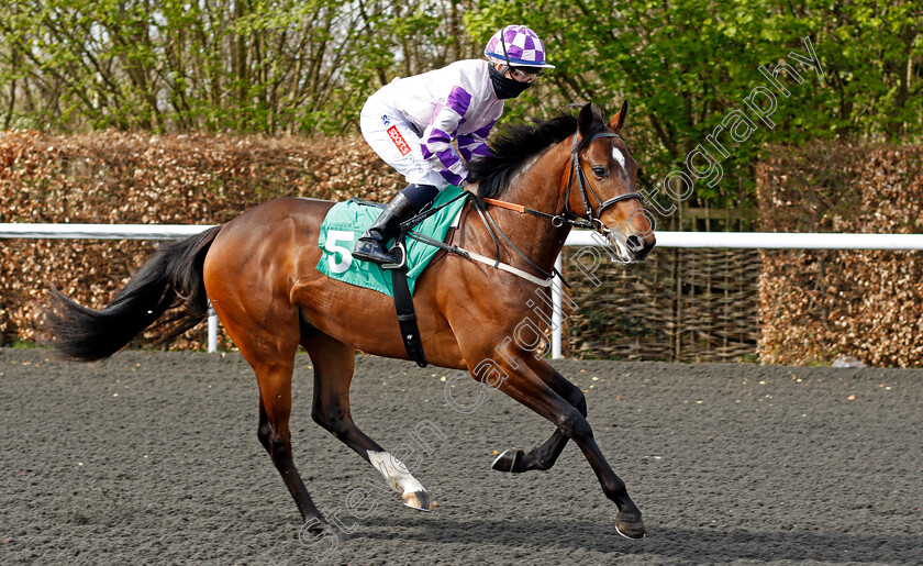 Noble-Albert-0001 
 NOBLE ALBERT (Hollie Doyle)
Kempton 5 Apr 2021 - Pic Steven Cargill / Racingfotos.com