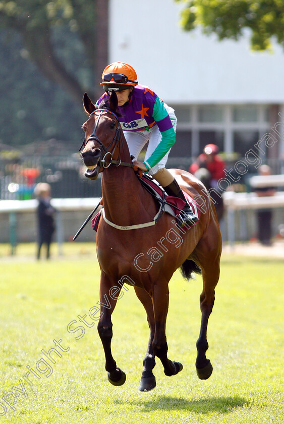 Mrs-Gallagher-0001 
 MRS GALLAGHER (Josephine Gordon)
Haydock 26 May 2018 - Pic Steven Cargill / Racingfotos.com