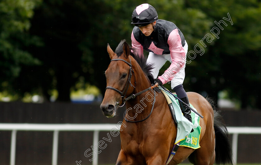 Mr-Monaco-0002 
 MR MONACO (Edward Greatrex)
Newmarket 12 Jul 2024 - Pic Steven Cargill / Racingfotos.com