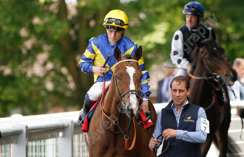 Frontispiece-0001 
 FRONTISPIECE (Kieran Shoemark)
Sandown 14 Jun 2019 - Pic Steven Cargill / Racingfotos.com