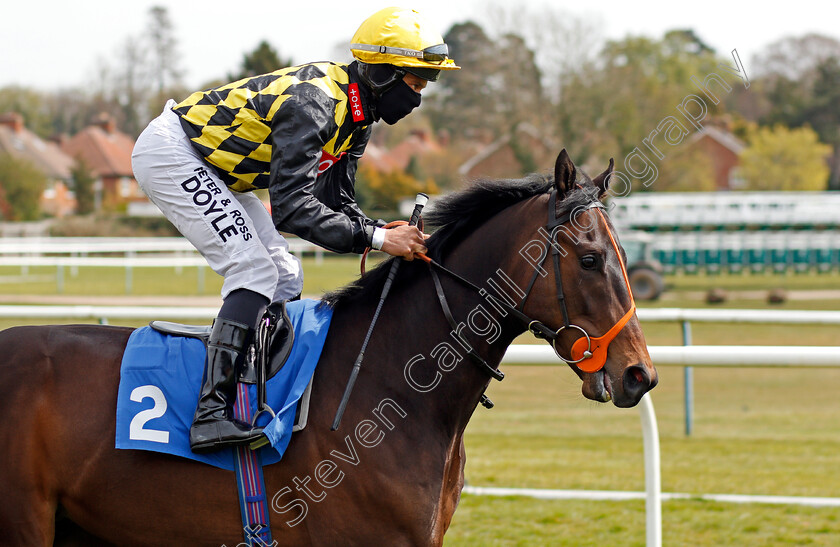 Night-Arc-0002 
 NIGHT ARC (Sean Levey)
Leicester 24 Apr 2021 - Pic Steven Cargill / Racingfotos.com