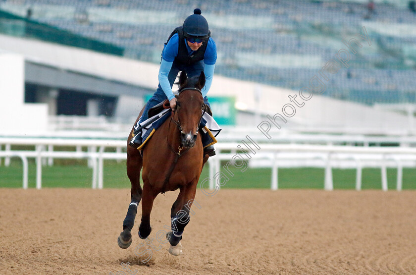 Stenton-Glider-0001 
 STENTON GLIDER training at the Dubai Racing Carnival 
Meydan 4 Jan 2024 - Pic Steven Cargill / Racingfotos.com