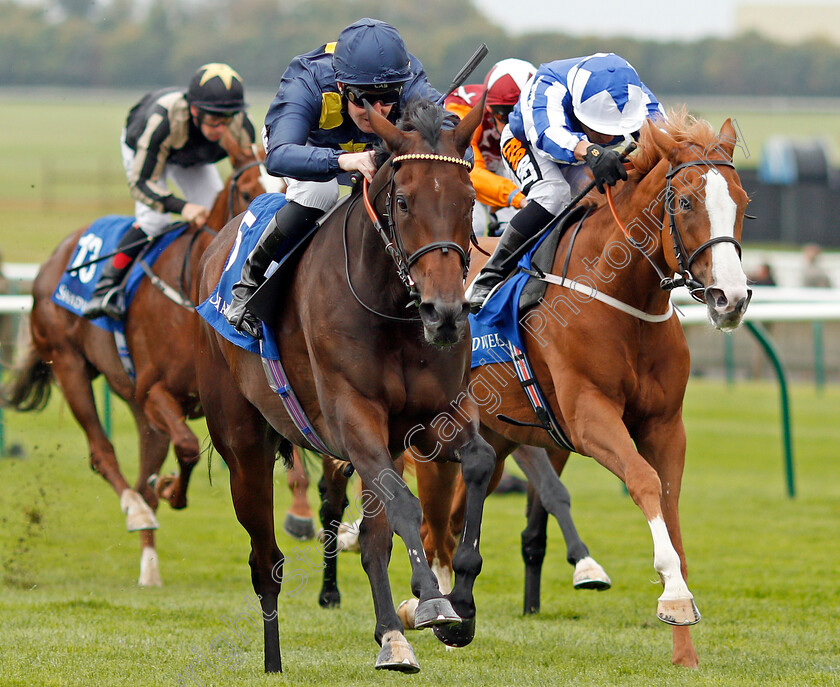 Muffri Ha-0004 
 MUFFRI'HA (Pat Cosgrave) beats TISBUTADREAM (right) in The Muhaarar British EBF Rosemary Stakes Newmarket 29 Sep 2017 - Pic Steven Cargill / Racingfotos.com