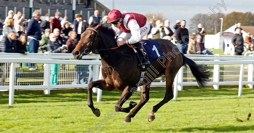 Alobayyah-0003 
 ALOBAYYAH (Tom Marquand) wins The British Stallion Studs EBF Fillies Novice Stakes
Yarmouth 22 Oct 2024 - Pic Steven Cargill / Racingfotos.com