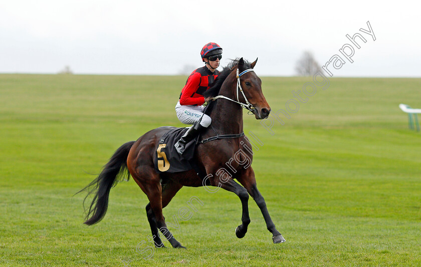 Atheby 
 ATHEBY (Darragh Keenan)
Newmarket 29 Oct 2021 - Pic Steven Cargill / Racingfotos.com