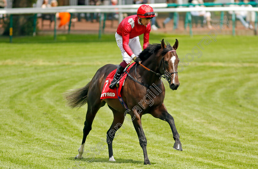 Sir-Les-Patterson-0002 
 SIR LES PATTERSON (Oisin Murphy)
Haydock 25 May 2024 - Pic Steven cargill / Racingfotos.com