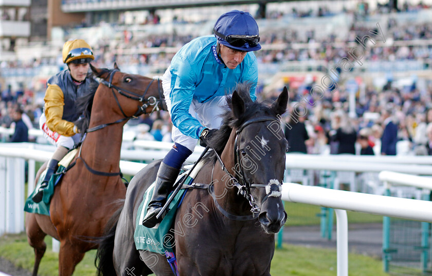 Popeye-Doyle-0001 
 POPEYE DOYLE (Jim Crowley)
Doncaster 12 Sep 20234 - Pic Steven Cargill / Racingfotos.com