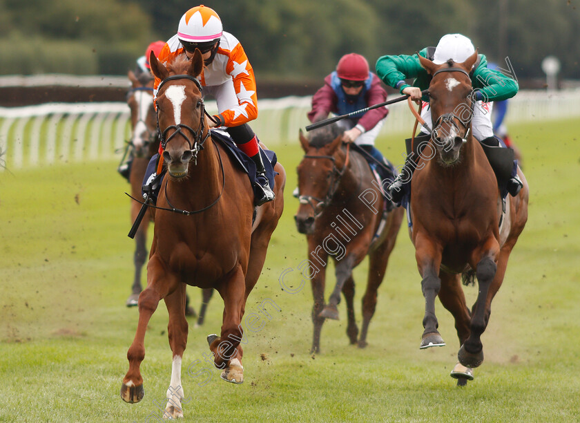 Torochica-0004 
 TOROCHICA (Josephine Gordon) beats LET RIP (right) in The Betway Handicap
Lingfield 7 Sep 2020 - Pic Steven Cargill / Racingfotos.com