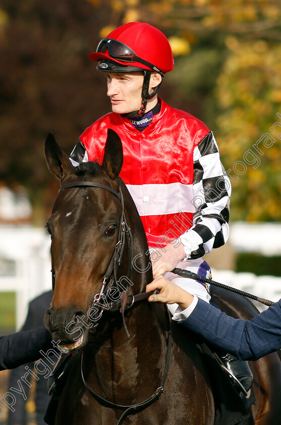 In-The-Trenches-0001 
 IN THE TRENCHES (Daniel Muscutt)
Newmarket 28 Oct 2022 - Pic Steven Cargill / Racingfotos.com