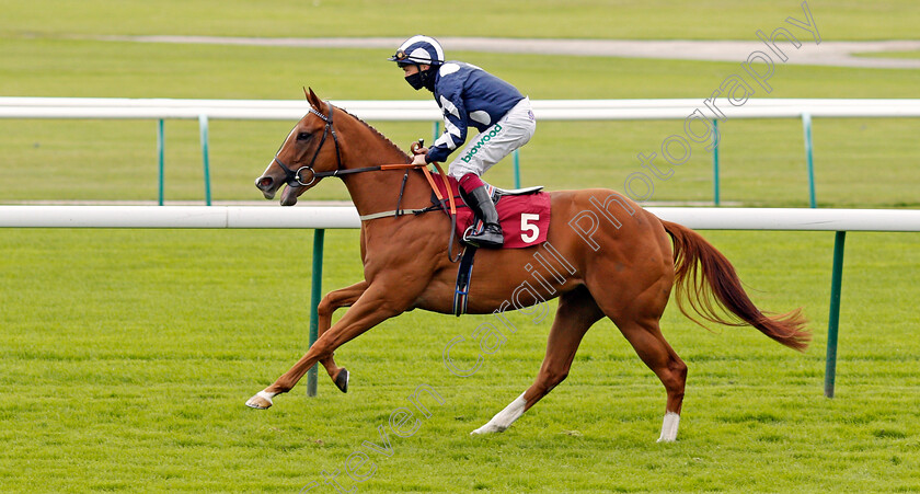 Kornflake-0001 
 KORNFLAKE (Andrew Mullen)
Haydock 4 Sep 2020 - Pic Steven Cargill / Racingfotos.com