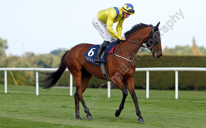 Cadeau-Belle-0002 
 CADEAU BELLE (Ben Coen)
Leopardstown 9 Sep 2023 - Pic Steven Cargill / Racingfotos.com