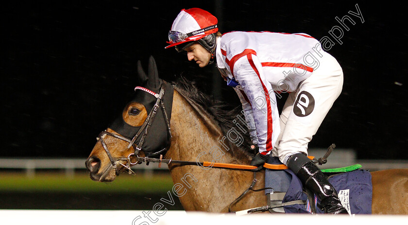 Scarlet-Dragon-0001 
 SCARLET DRAGON (Tom Queally)
Wolverhampton 13 Jan 2020 - Pic Steven Cargill / Racingfotos.com