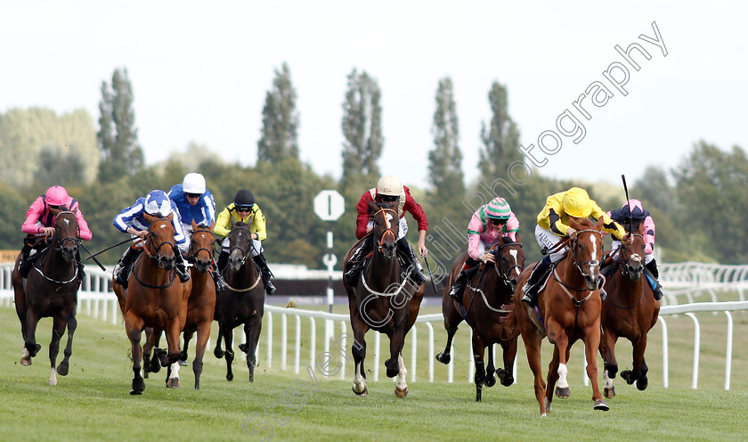 Shumookhi-0001 
 SHUMOOKHI (Oisin Murphy) wins The Byerley Stud St Hugh's Stakes
Newbury 17 Aug 2018 - Pic Steven Cargill / Racingfotos.com