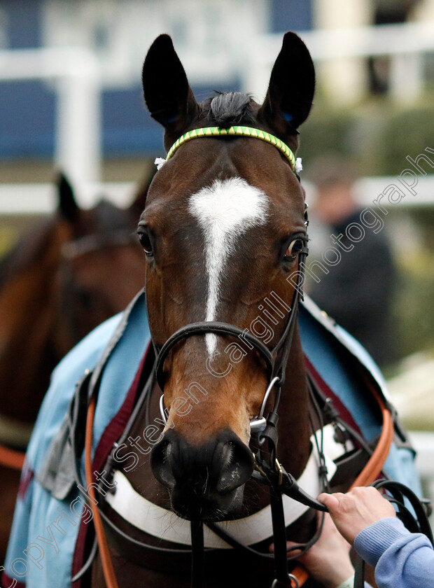 Jonbon-0013 
 JONBON winner of The Betmgm Clarence House Chase
Ascot 18 Jan 2025 - Pic Steven Cargill / Racingfotos.com