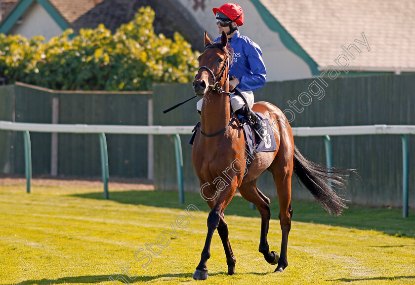 Ursa-Minor-0001 
 URSA MINOR (Robert Havlin) before The British Stallion Studs EBF Novice Stakes
Yarmouth 19 Sep 2019 - Pic Steven Cargill / Racingfotos.com