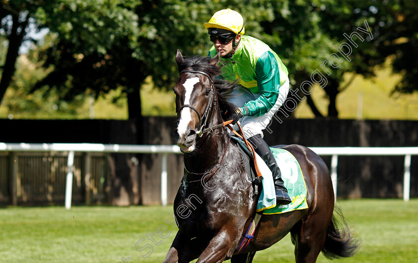 Metallo-0001 
 METALLO (Charles Bishop)
Newmarket 15 Jul 2023 - Pic Steven Cargill / Racingfotos.com