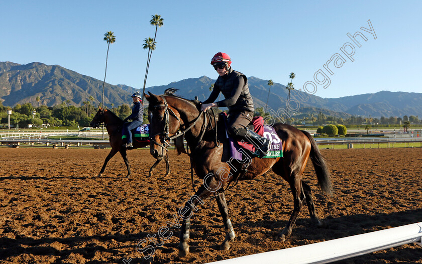 Bolshoi-Ballet-0001 
 BOLSHOI BALLET training for The Breeders' Cup Turf 
Santa Anita USA, 31 October 2023 - Pic Steven Cargill / Racingfotos.com