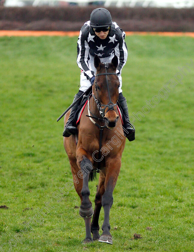 Imperial-Alcazar-0001 
 IMPERIAL ALCAZAR (Paddy Brennan)
Newbury 22 Mar 2019 - Pic Steven Cargill / Racingfotos.com