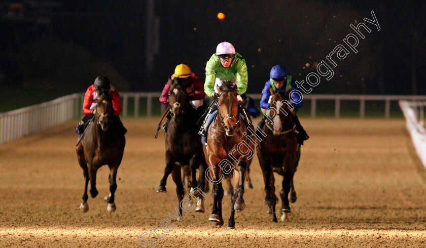 Uncle-Bryn-0004 
 UNCLE BRYN (Robert Havlin) wins The Ladbrokes Watch Racing Online For Free EBF Novice Stakes
Wolverhampton 24 Nov 2020 - Pic Steven Cargill / Racingfotos.com