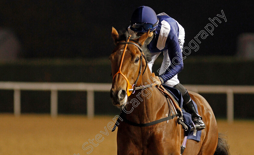 Red-Dawn-0001 
 RED DAWN (Sean Levey)
Wolverhampton 24 Nov 2020 - Pic Steven Cargill / Racingfotos.com