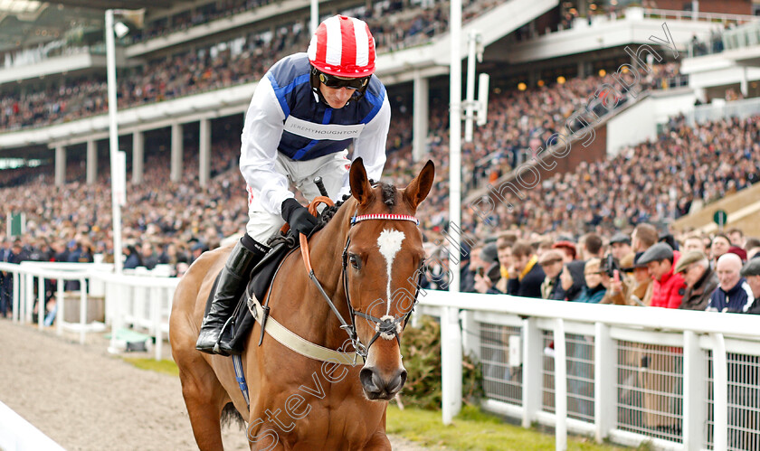 Shakem-Up Arry-0001 
 SHAKEM UP'ARRY (Daryl Jacob)
Cheltenham 11 Mar 2020 - Pic Steven Cargill / Racingfotos.com