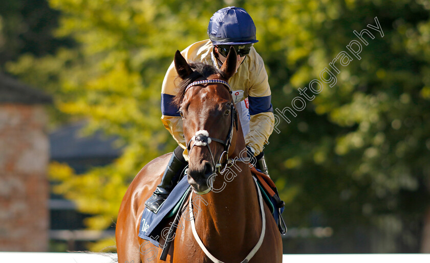 Tempus-0002 
 TEMPUS (Hollie Doyle) winner of The Tattersalls Sovereign Stakes
Salisbury 11 Aug 2022 - Pic Steven Cargill / Racingfotos.com